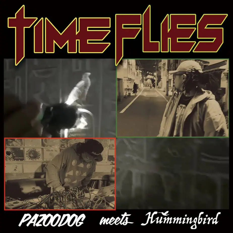 Time Flies Artwork